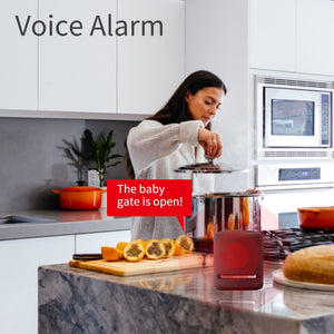 ThirdReality Door Sensor