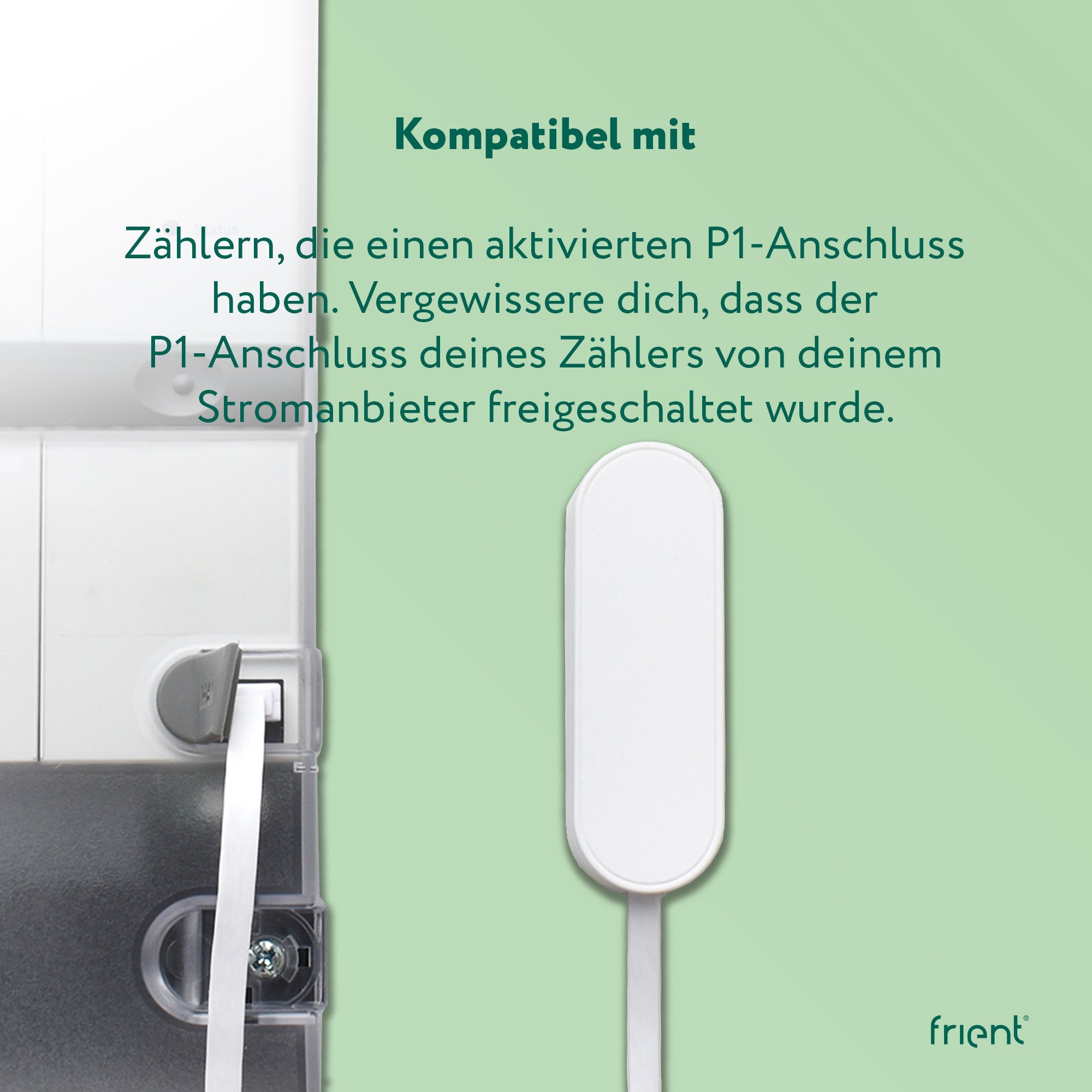 frient Electricity Meter Interface 2, P1