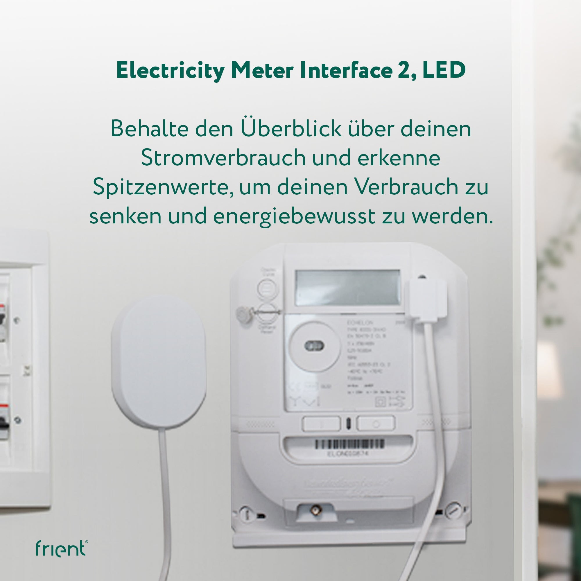 frient Electricity Meter Interface 2 LED