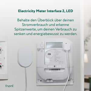 frient Electricity Meter Interface 2 LED