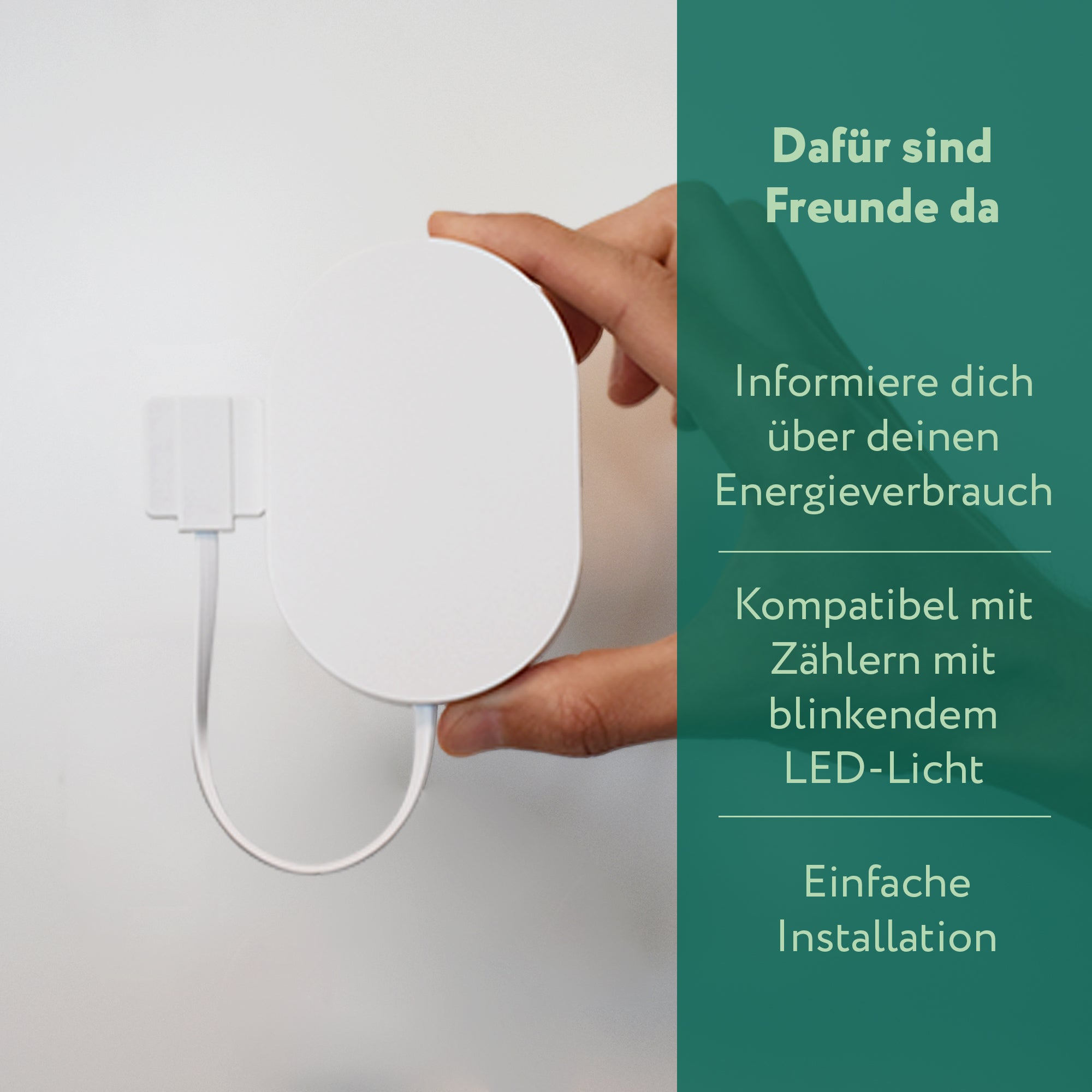 frient Electricity Meter Interface 2 LED