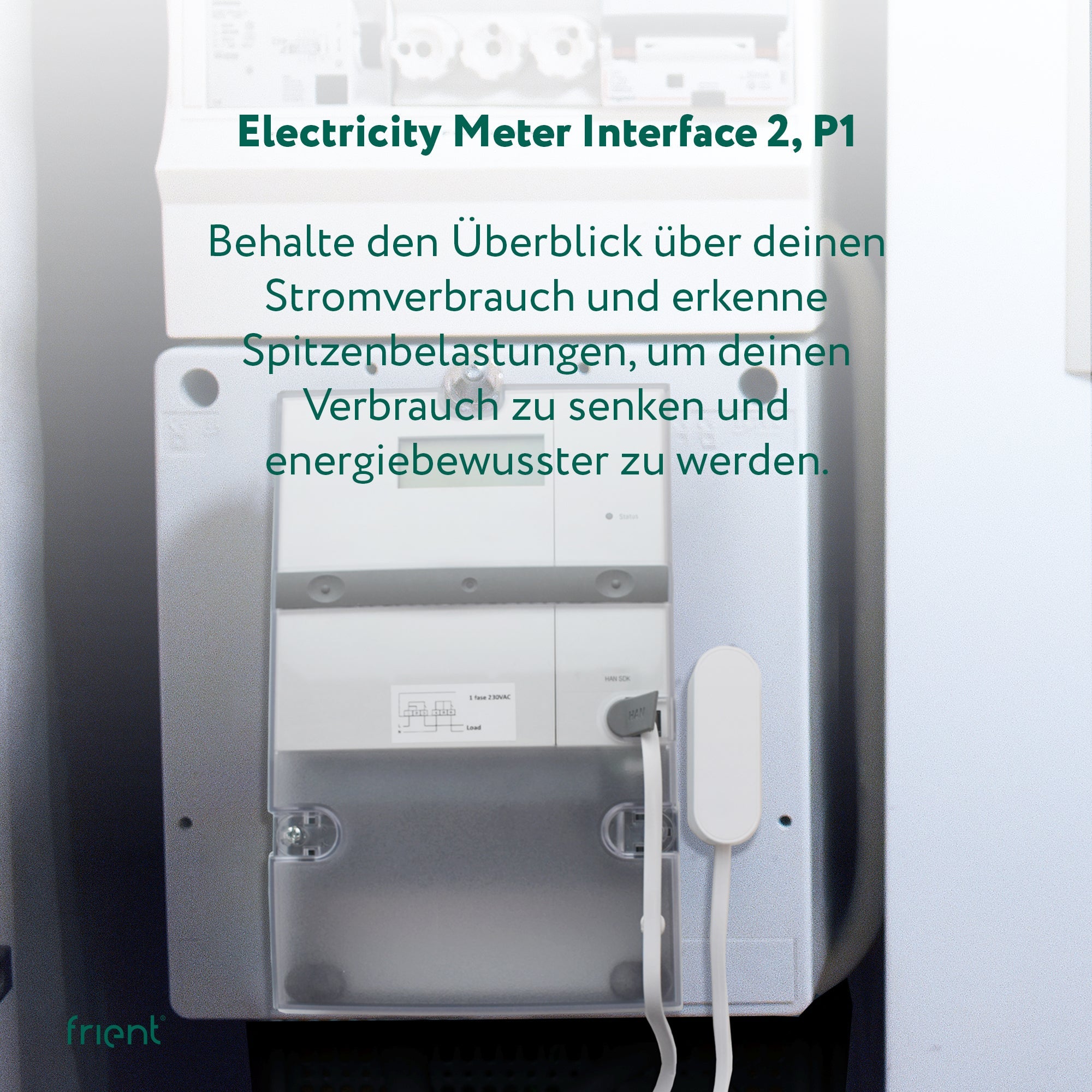 frient Electricity Meter Interface 2, P1