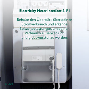 frient Electricity Meter Interface 2, P1