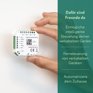 frient IO Module