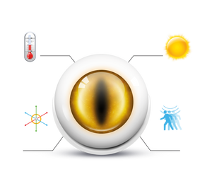 FIBARO Motion Sensor