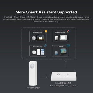 ThirdReality Motion Sensor