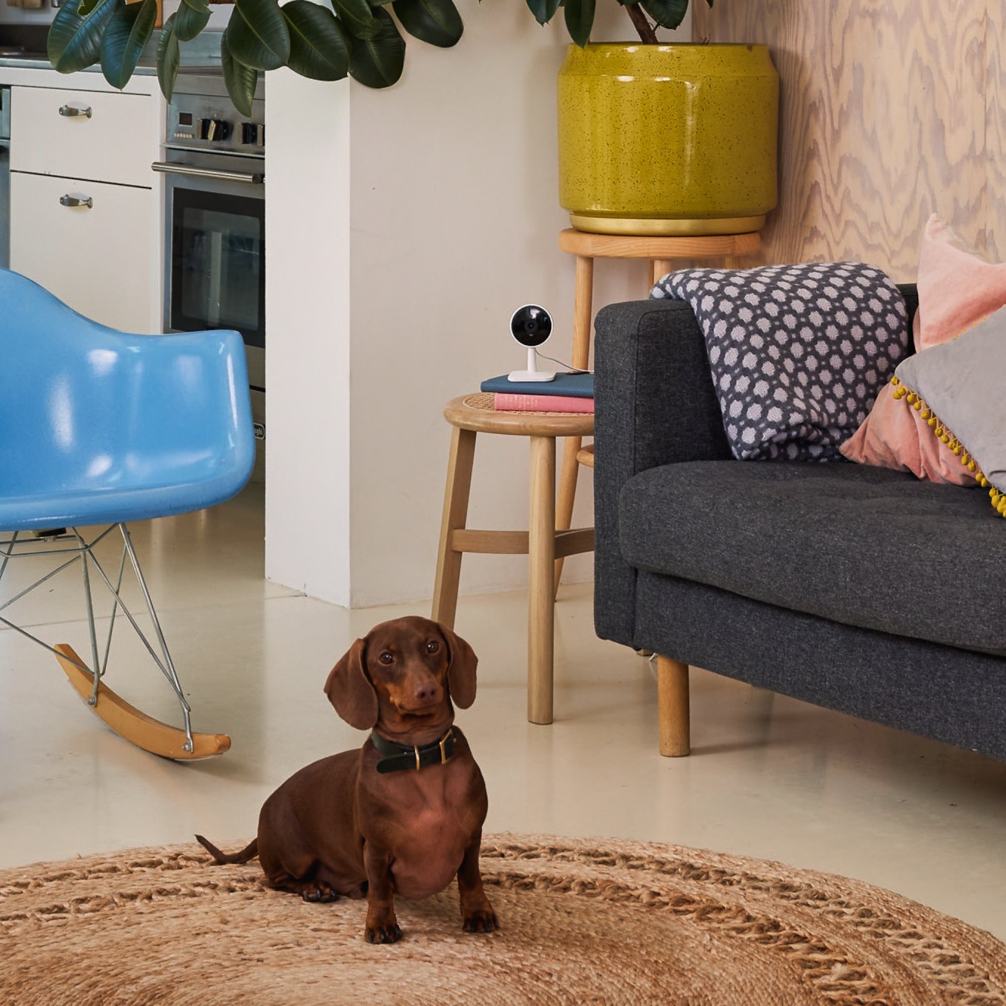 Yale Smart Indoor Camera