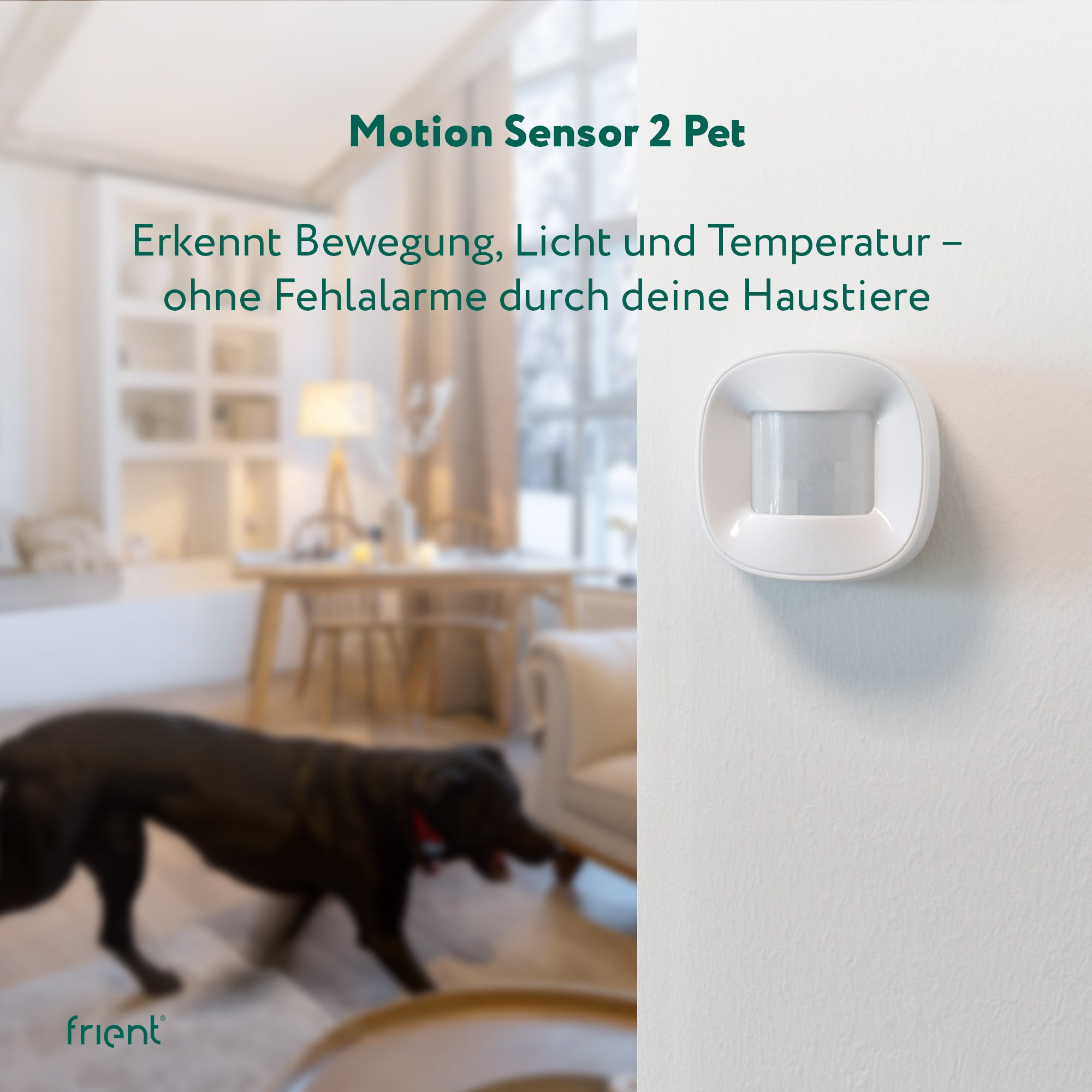 frient Motion Sensor 2 PET