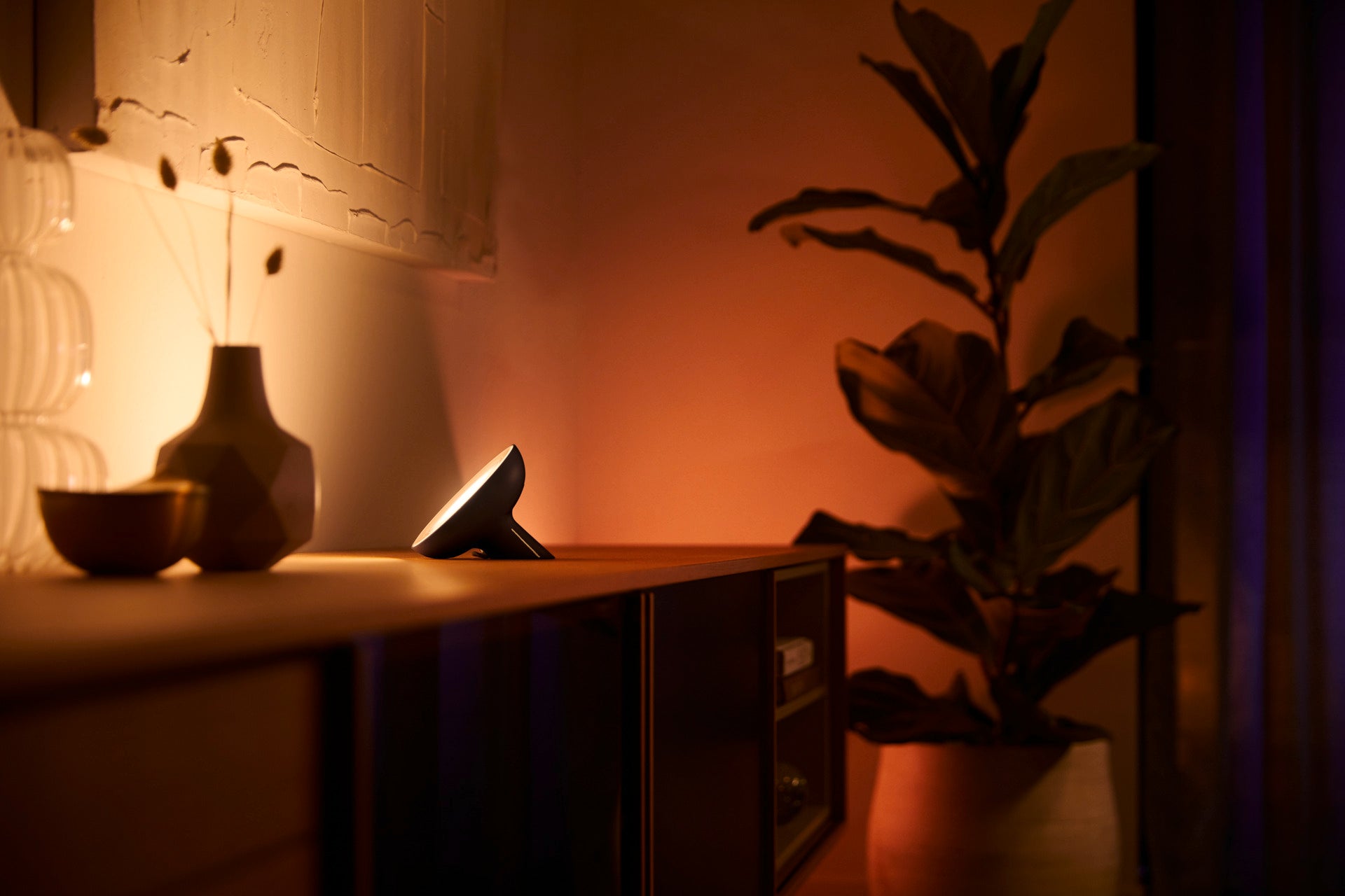 Philips Hue White & Color Ambiance Bloom