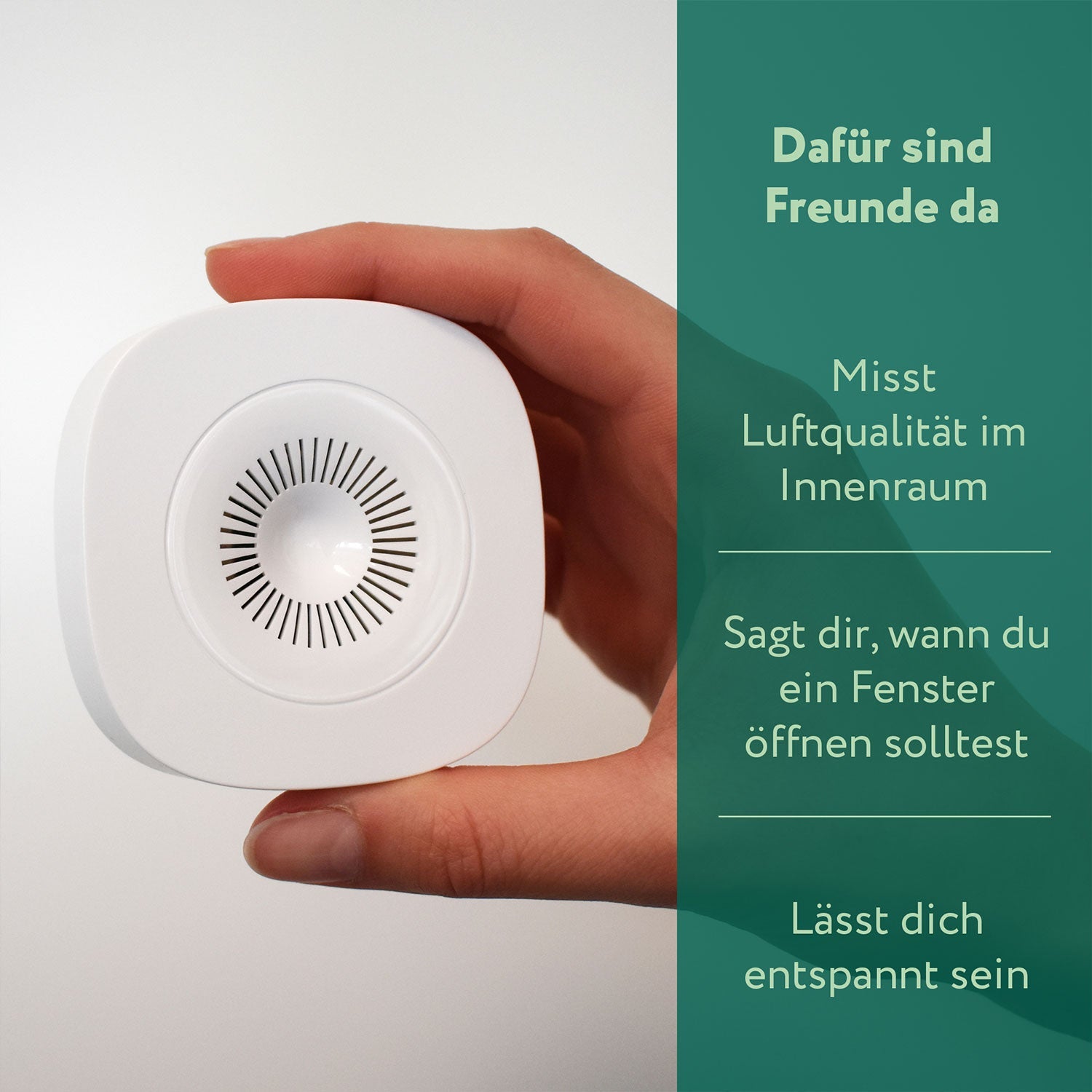 frient Air Quality Sensor (Zigbee) Eigenschaften