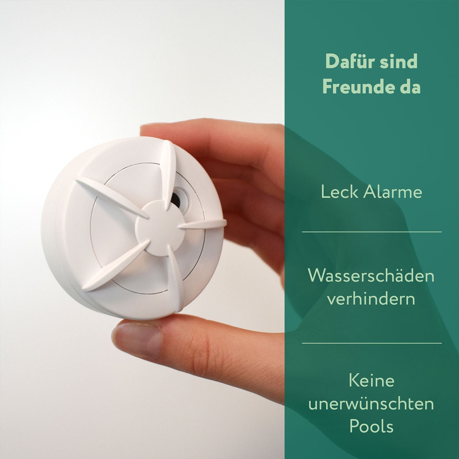 frient Water Leak Detector (Zigbee) Eigenschaften